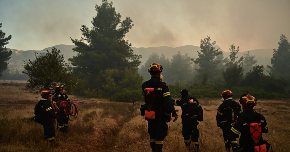 Πυροσβεστική: Τέσσερις συλλήψεις για τις φωτιές από αμέλεια σε Χαλκιδική, Θεσσαλονίκη, Βοιωτία και Λάρισα