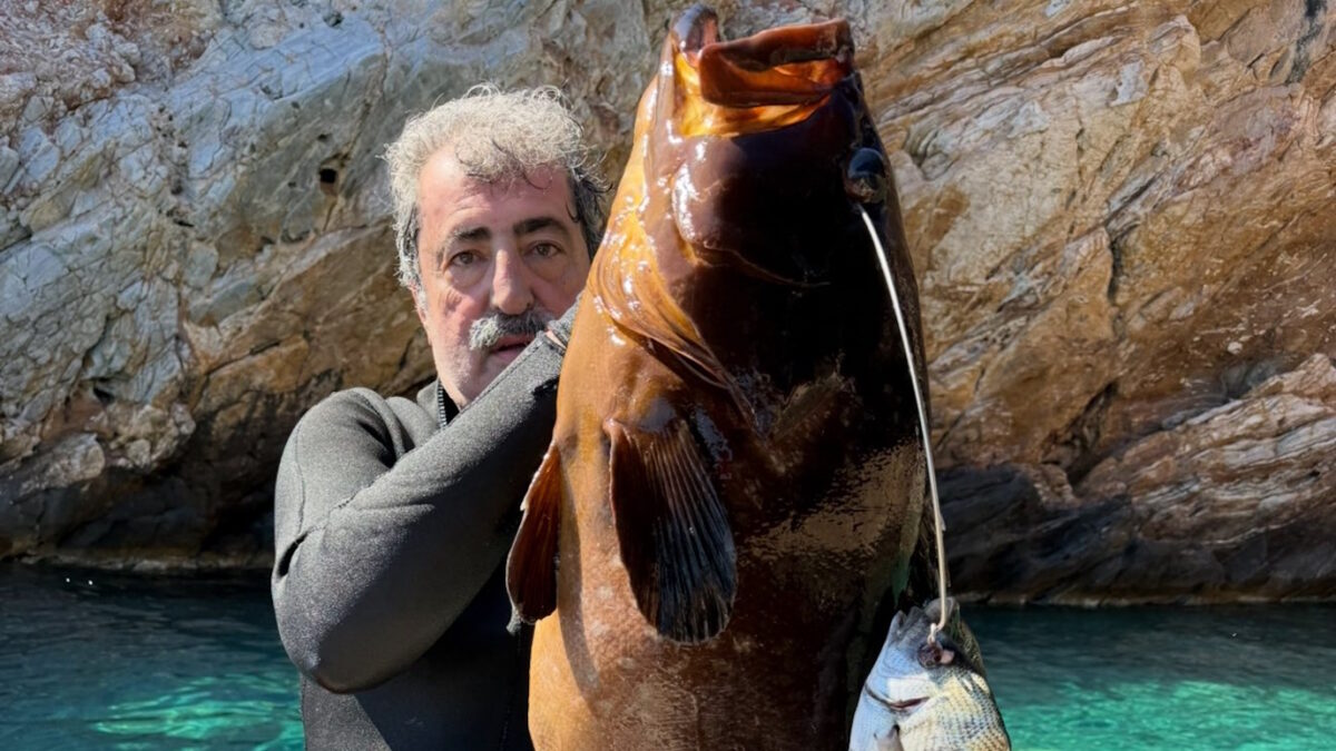 Παύλος Πολάκης