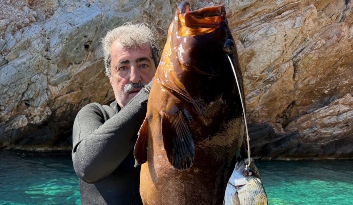Μήνυμα Πολάκη σε Τσίπρα: «Εμείς δεν ψαρεύουμε σε θολά νερά» – Η φωτογραφία με ροφό 13,5 κιλών