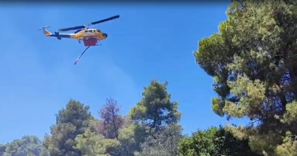 Φωτιά στο Πευκάλι Κορινθίας: Σε ύφεση το μέτωπο της πυρκαγιάς – Είχε σταλεί μήνυμα του 112