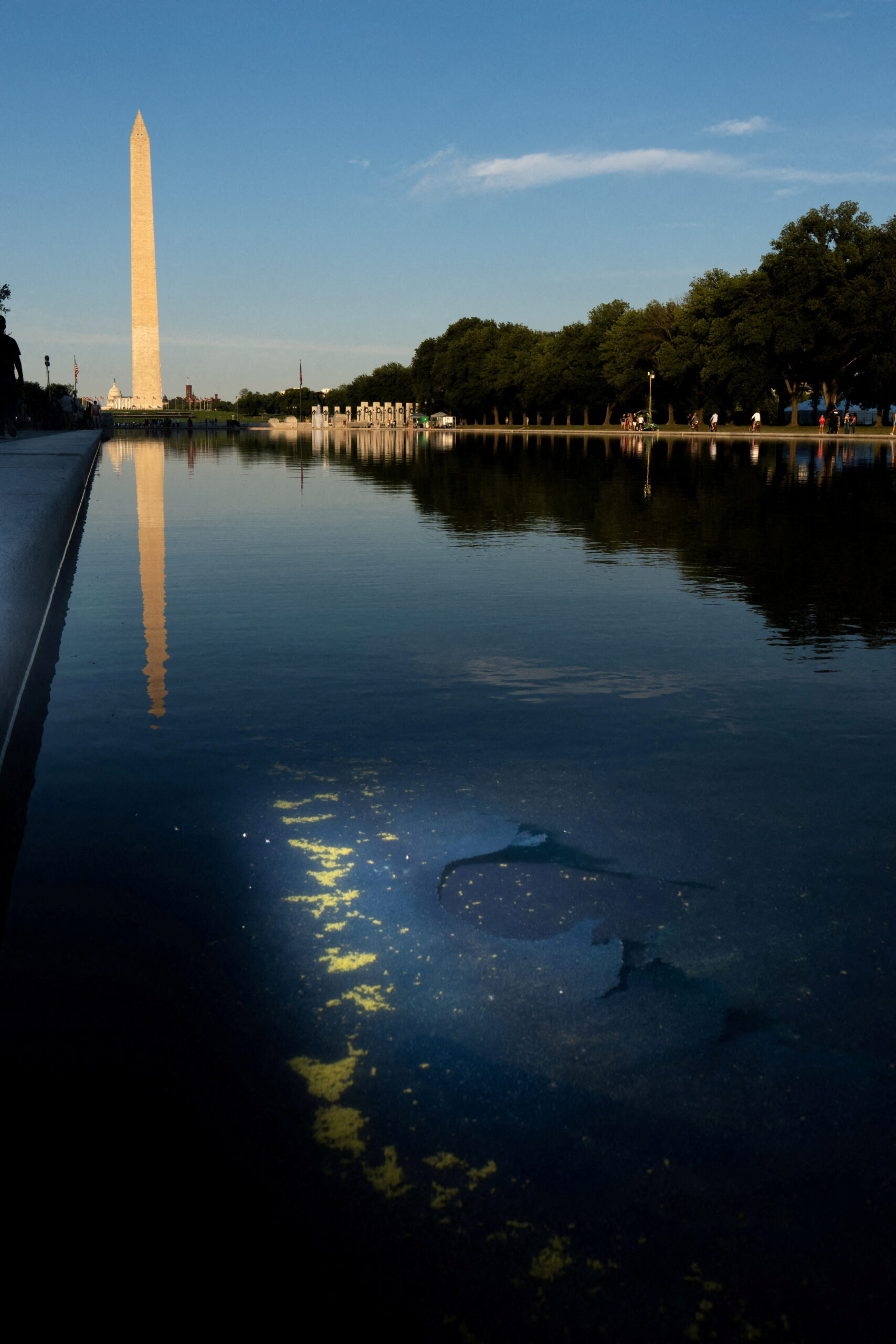 Chipped paint and algae are visible in the Lincoln Memorial Reflecting Pool, after recent renovations following a directive from U.S. President Donald Trump to paint it blue ahead of the 250th anniversary of U.S. Independence, in Washington, D.C., U.S., June 21, 2026. REUTERS/Aaron Schwartz TPX IMAGES OF THE DAY
