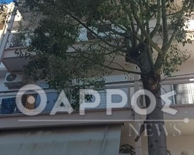 To διαμέρισμα που σημειώθηκε το άγριο φονικό