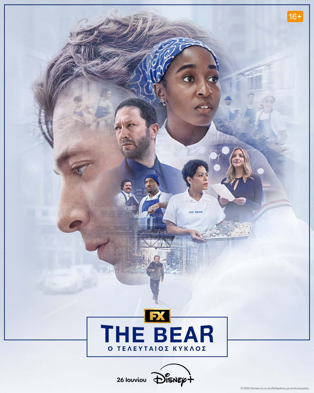 the bear