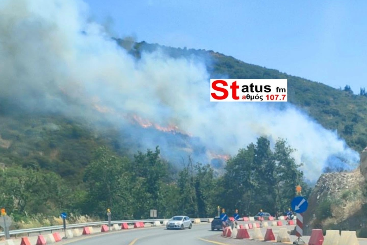 Φωτιά τώρα στα Πεύκα Θεσσαλονίκης: Καίει σε δασική περιοχή, 