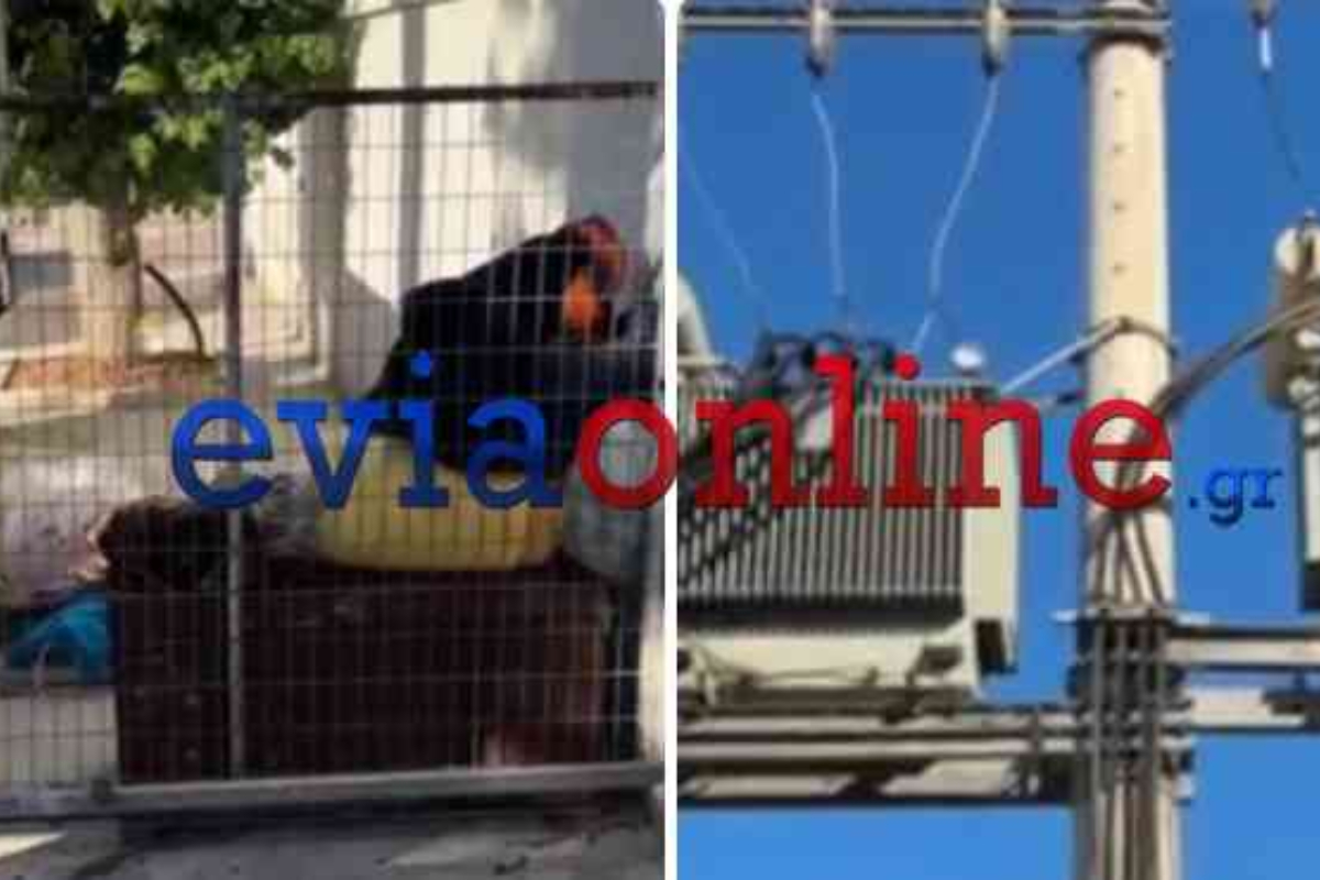 Μετασχηματιστής στη Χαλκίδα