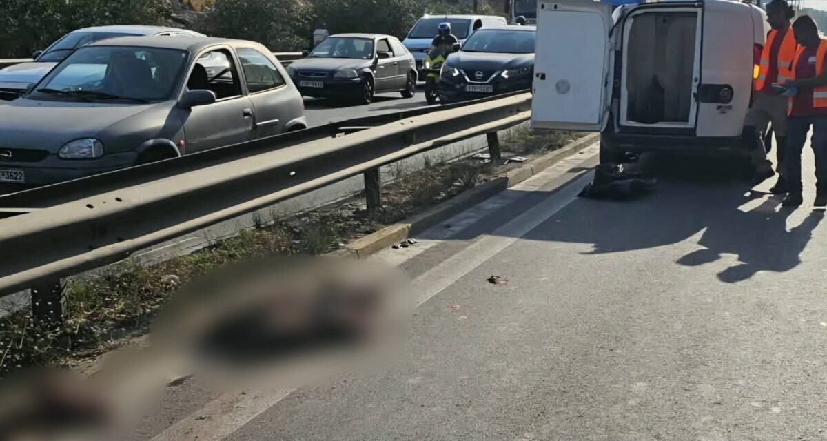 Χαϊδάρι: Αγριογούρουνο έκανε βόλτες δίπλα στην Εθνική Αθηνών - Κορίνθου και προκάλεσε τροχαίο