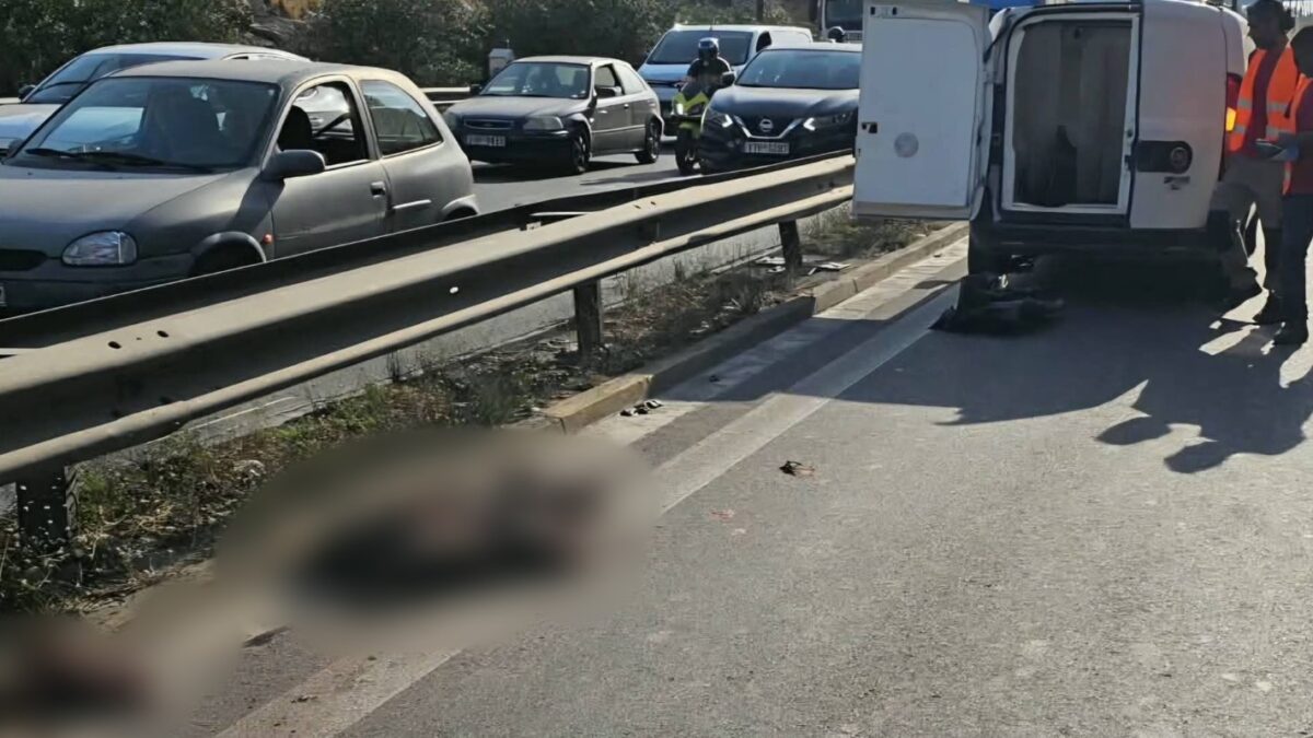 Αγριογούρουνο έκανε βόλτες δίπλα στην Εθνική Αθηνών - Κορίνθου και προκάλεσε τροχαίο
