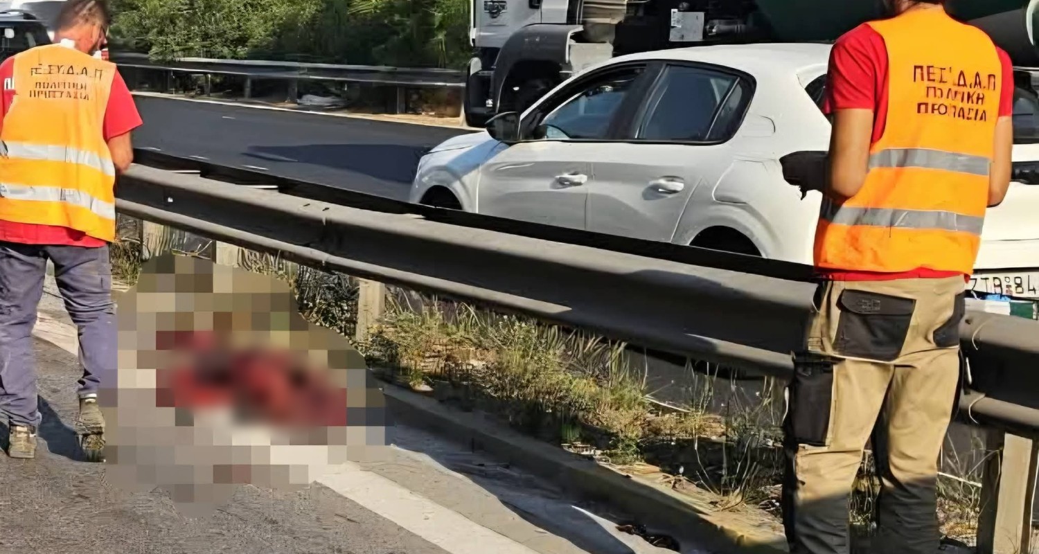 Αγριογούρουνο έκανε βόλτες δίπλα στην Εθνική Αθηνών - Κορίνθου και προκάλεσε τροχαίο
