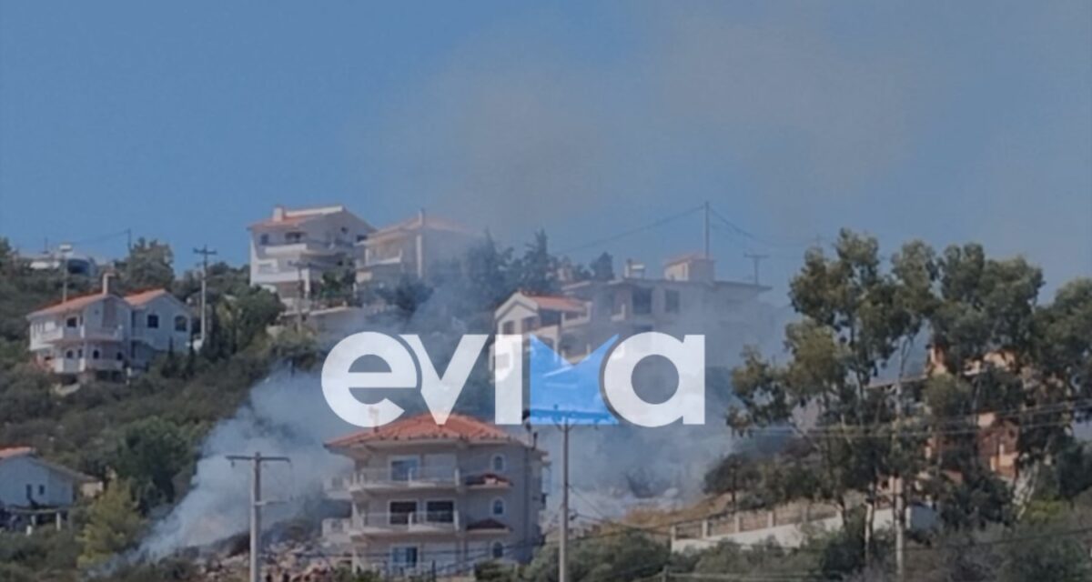 Φωτιά στην Εύβοια: Στο Αλιβέρι δίπλα σε σπίτια
