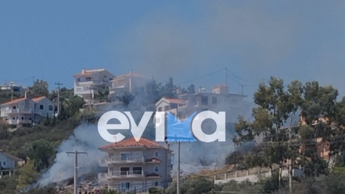 Φωτιά στο Αλιβέρι