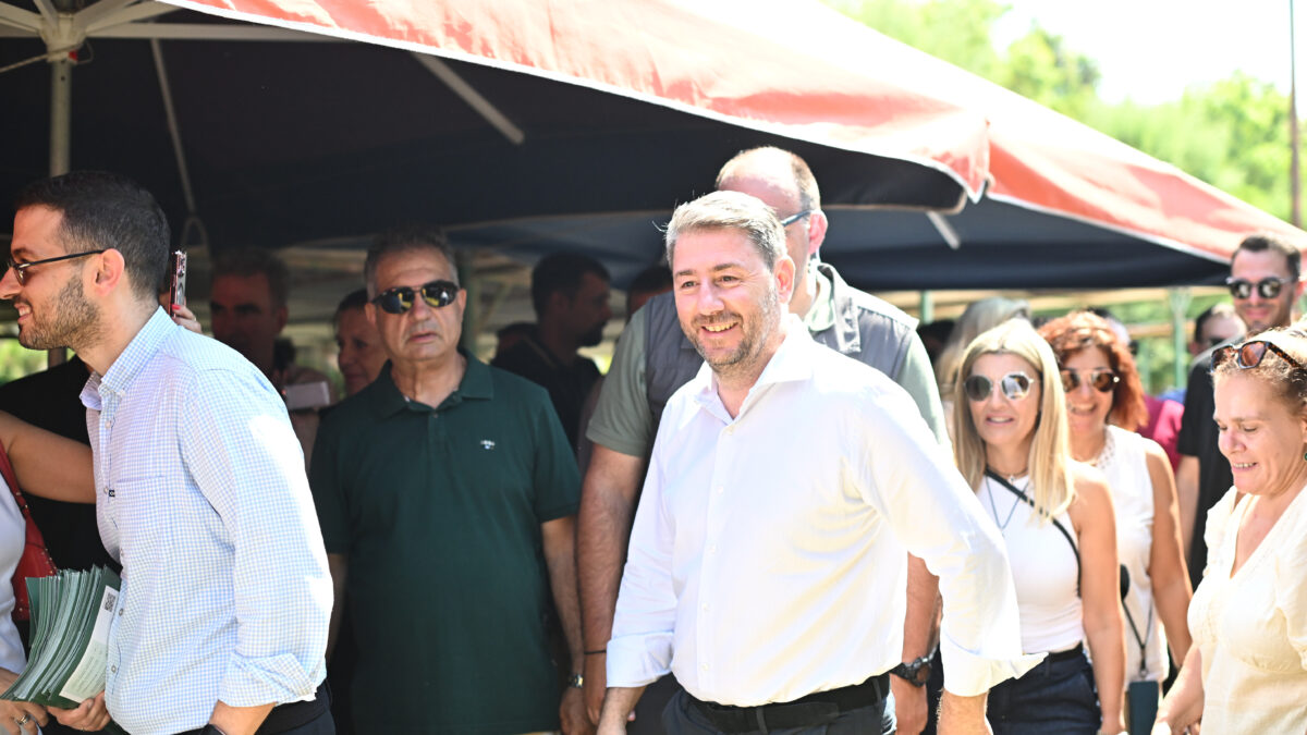 Νίκος Ανδρουλάκης