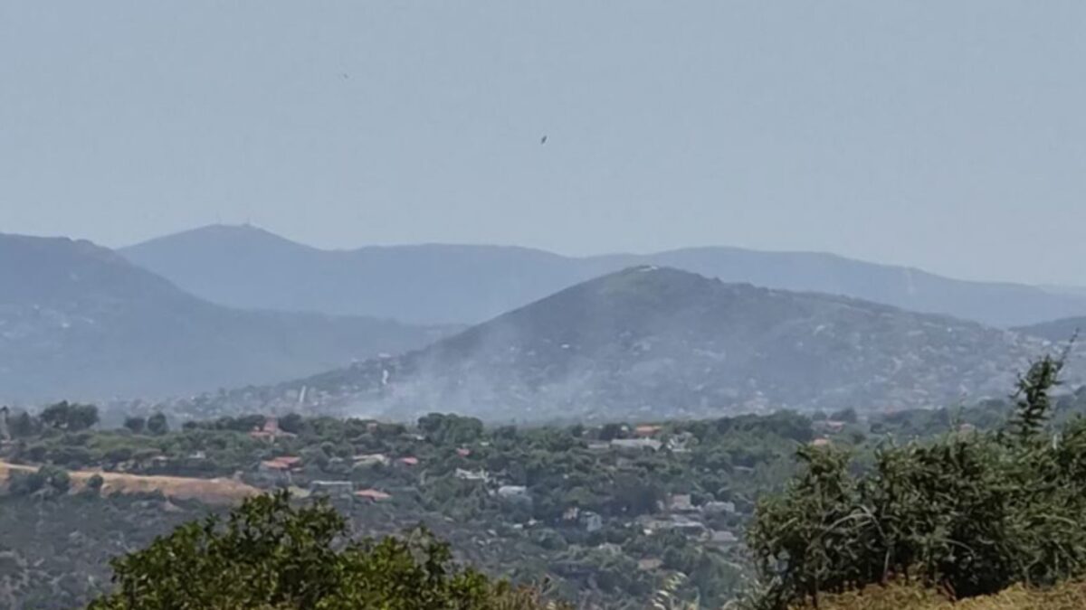 Φωτιά στην Αρτέμιδα Αττικής