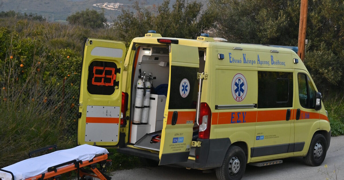 Θεσσαλονίκη: Τσακάλι δάγκωσε στο πρόσωπο 4χρονη και το έσερνε από την πλάτη