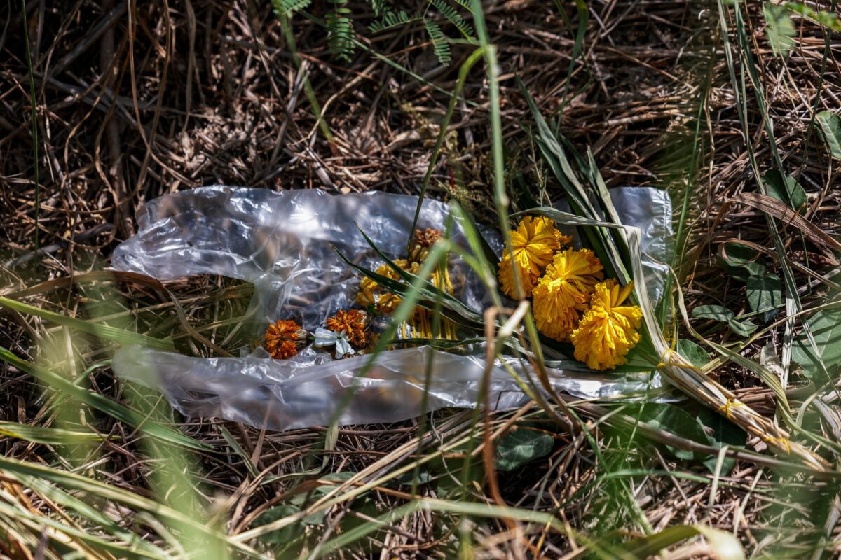 Δολοφονία Αυστραλία