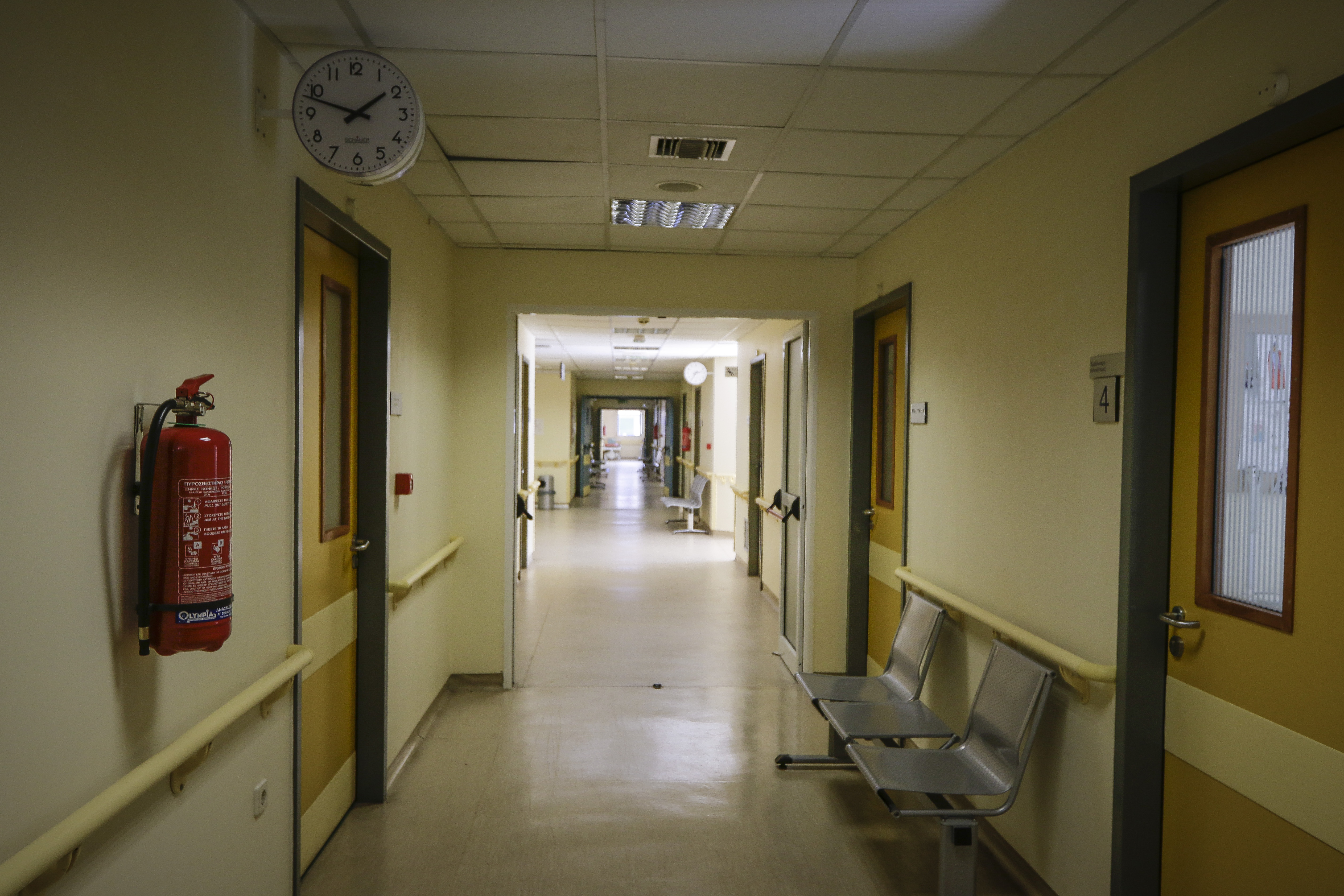 Θεσσαλονίκη: Εξιτήριο για το 4χρονο κορίτσι μετά την επίθεση από άγριο ζώο – Στο μικροσκόπιο το ενδεχόμενο να ήταν τσακάλι