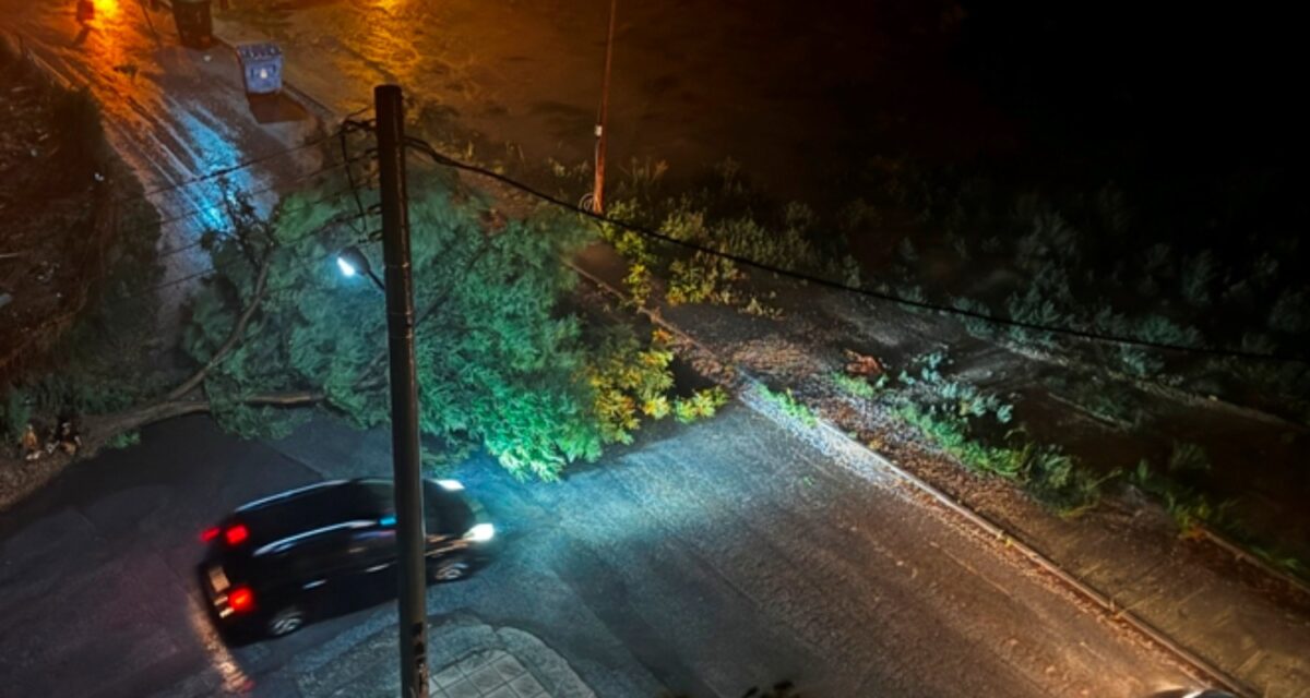 Ισχυρές καταιγίδες και πτώσεις δέντρων από την κακοκαιρία στη Δράμα