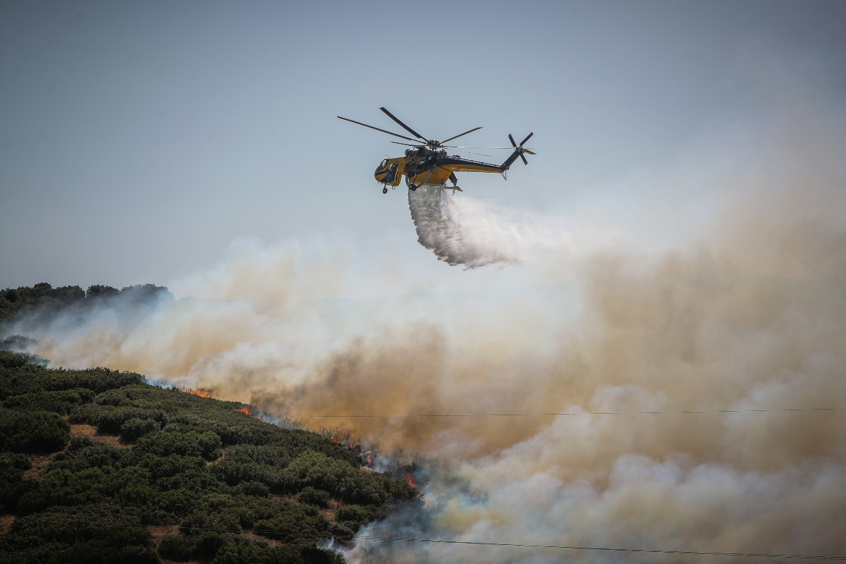 Φωτιά στην Τανάγρα: Ισχυρές δυνάμεις της πυροσβεστικής -  Σηκώθηκαν τέσσερα εναέρια μέσα