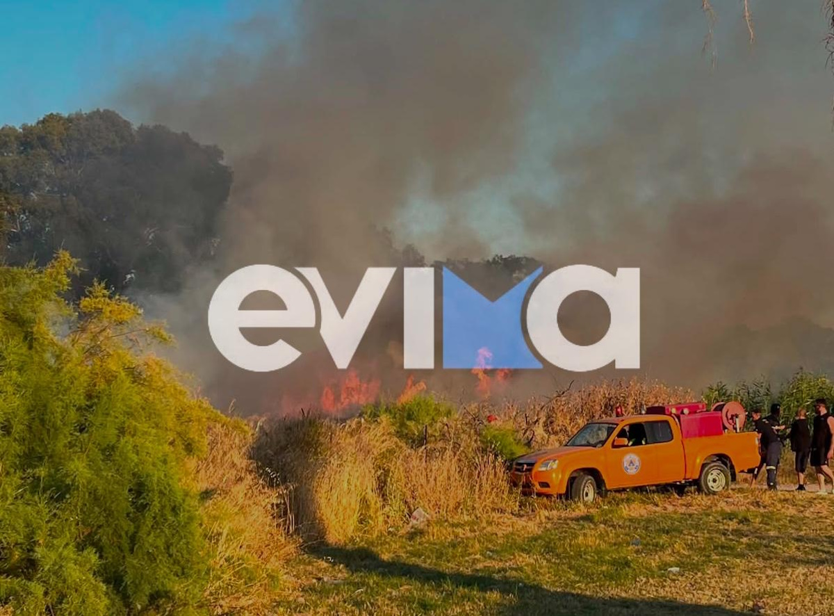 ΦΩΤΟ από το Evima