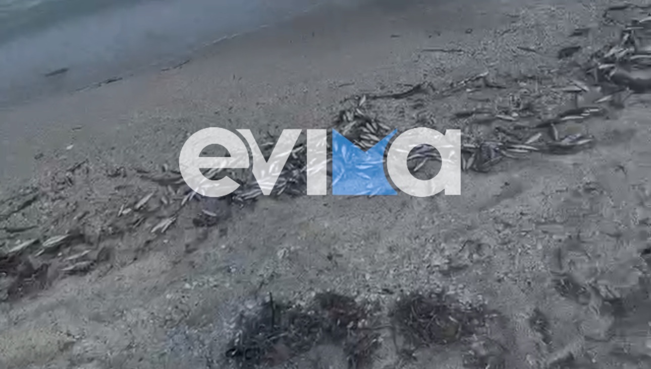 evima.gr