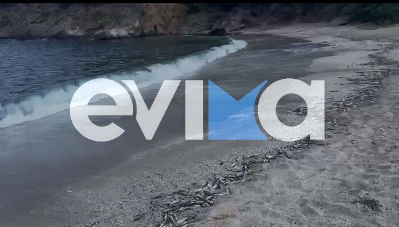 evima.gr