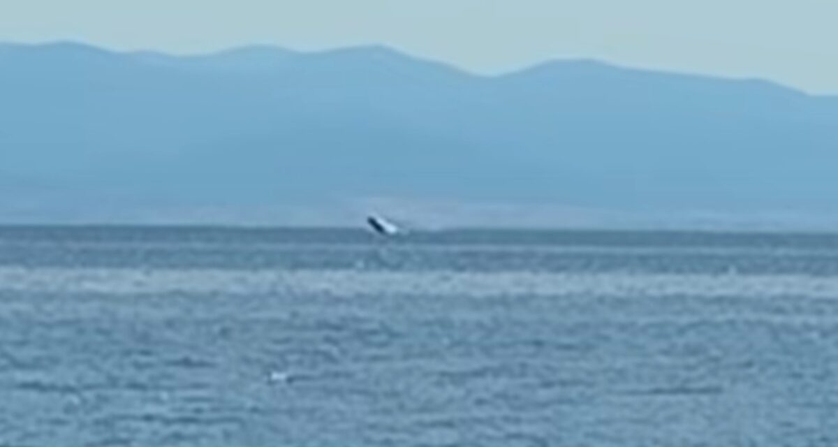 Φάλαινα κάνει βόλτες και βουτιές στην παραλία του Βόλου