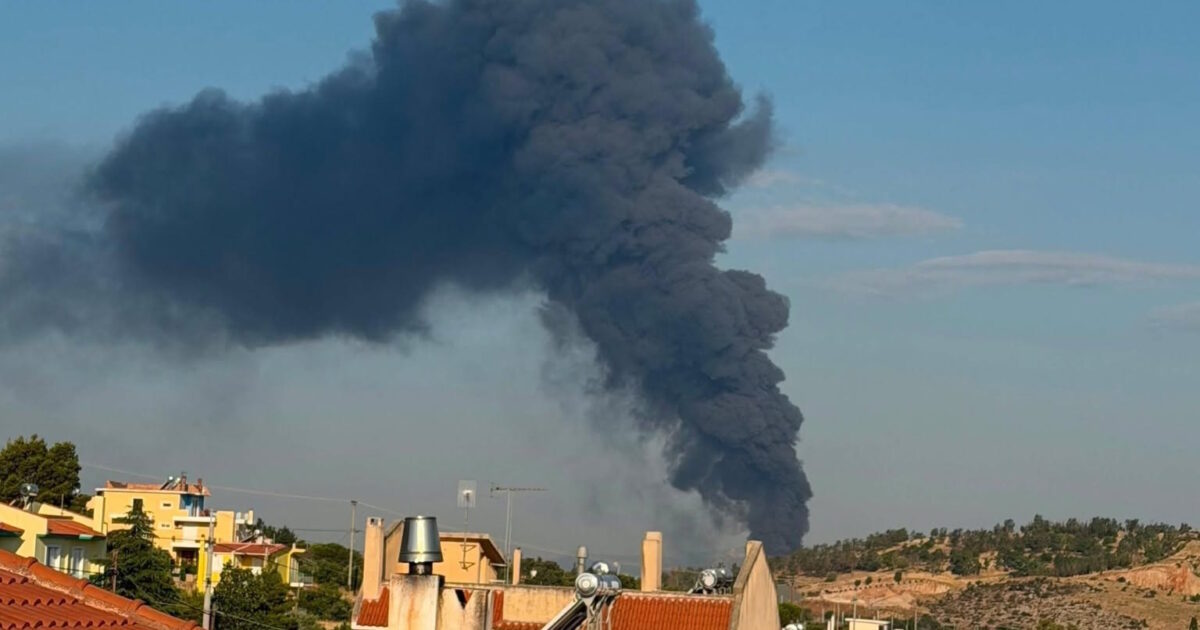 Φωτιά σε επιχείρηση στον Ασπρόπυργο: Μεγάλη κινητοποίηση της Πυροσβεστικής