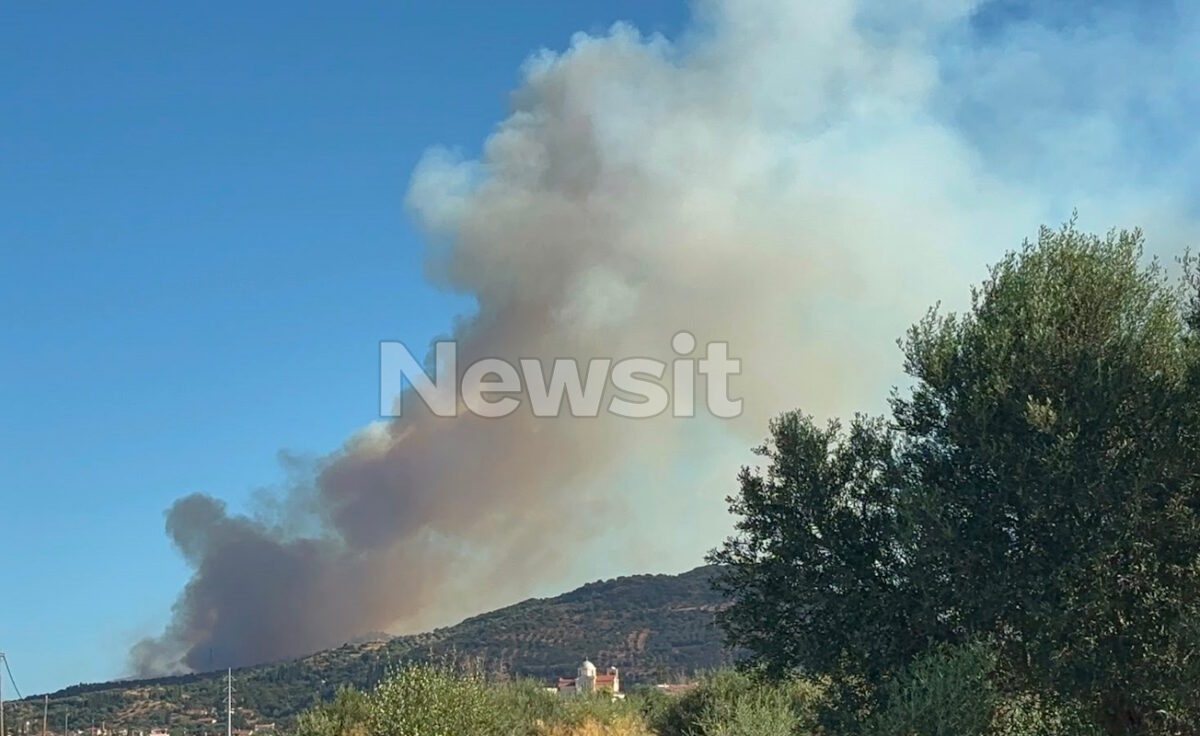 Φωτιά και στην Αχαΐα, στην περιοχή Nεραντζιές Αιγιαλείας: Ήχησε το 112 - «Παραμείνετε σε ετοιμότητα»