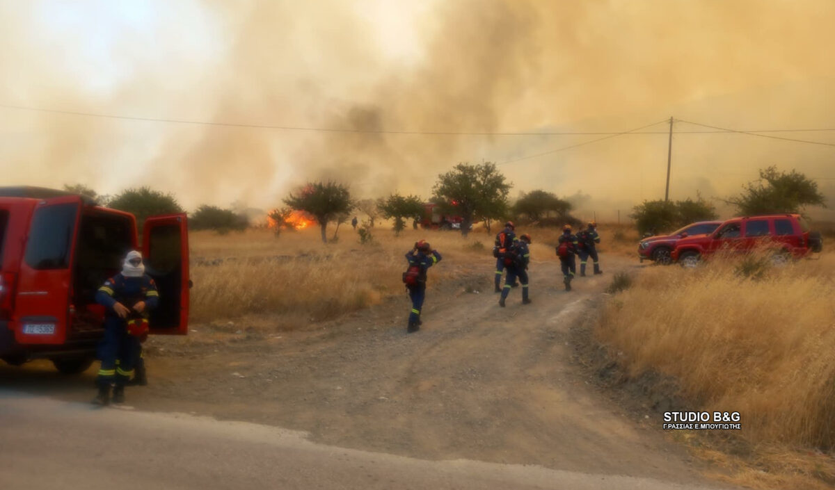 Φωτιά στην Επίδαυρο στην περιοχή Αδάμι - Σηκώθηκαν 4 εναέρια μέσα