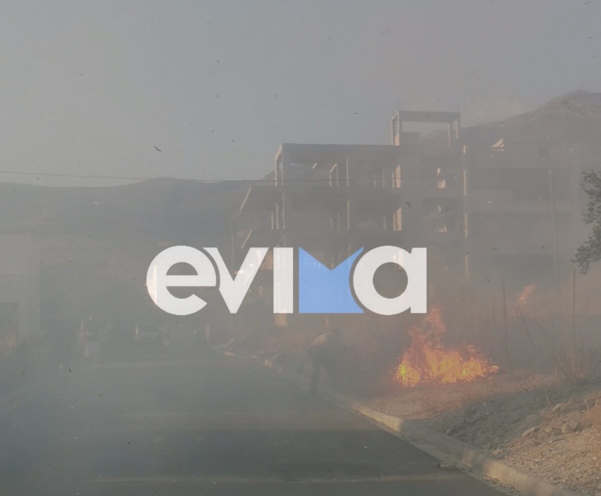 fotia euvoia