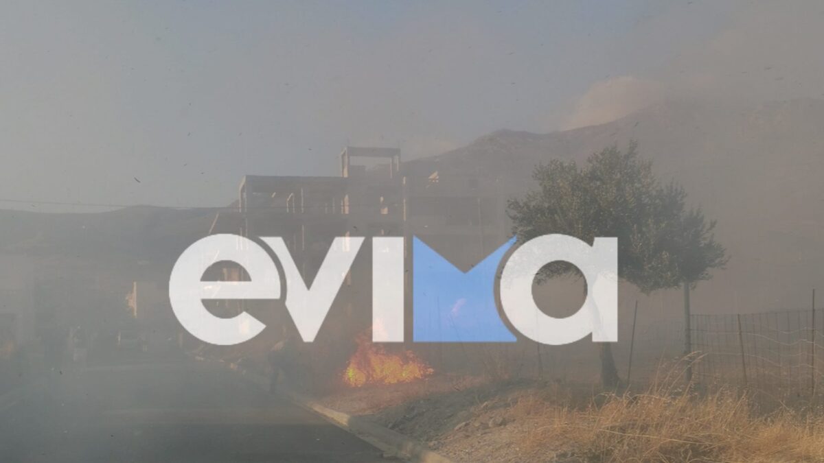 Φωτιά στην Εύβοια, στην περιοχή Αετός στην Κάρυστο