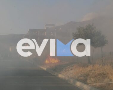 Φωτιά στην Εύβοια, στην περιοχή Αετός στην Κάρυστο