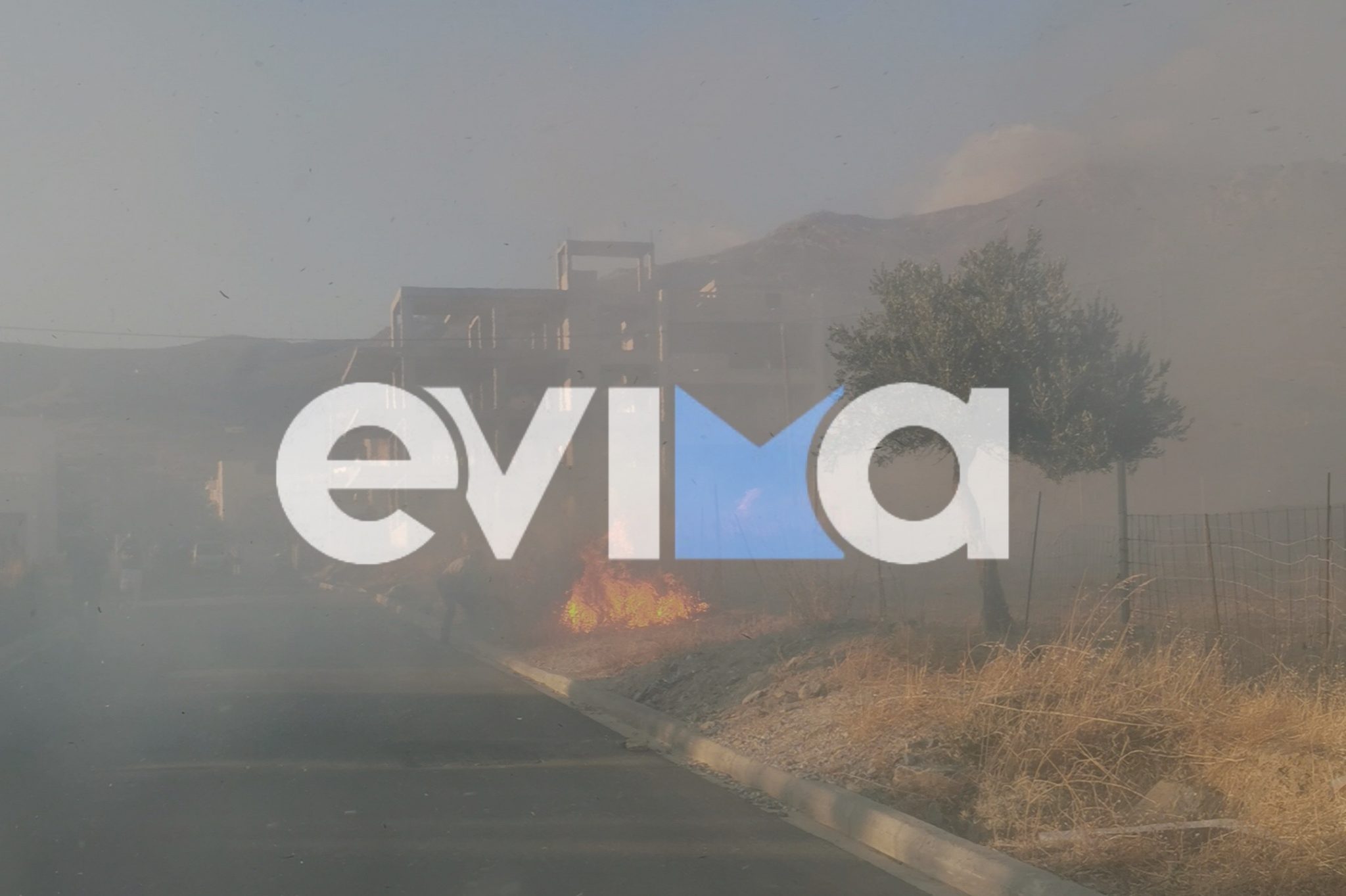 Φωτιά στην Κάρυστο Ευβοίας: Καίει κοντά σε σπίτια – Μήνυμα του 112, «απομακρυνθείτε προς Αετό»