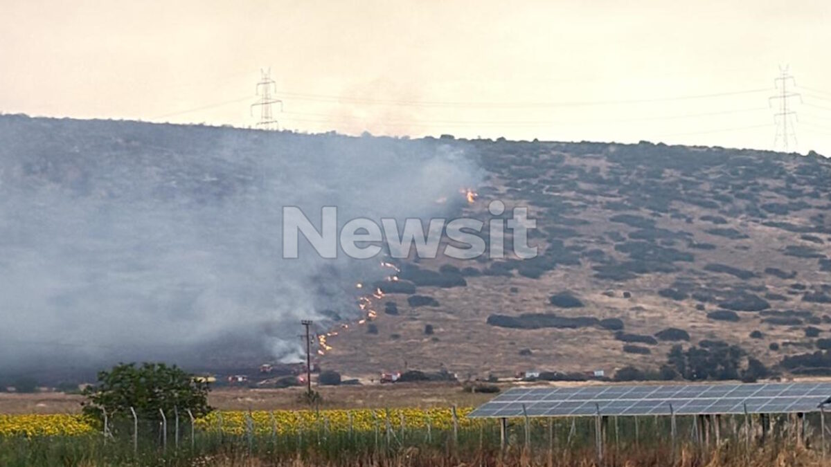 Φωτιά στο Καλαπόδι Φθιώτιδας: Πέρασε «ξυστά» από το χωριό Σφάκα – Μάχη των πυροσβεστών από γη και αέρα