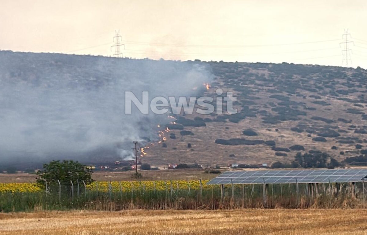Φωτιά στο Καλαπόδι Φθιώτιδας: Πέρασε «ξυστά» από το χωριό Σφάκα – Μάχη των πυροσβεστών από γη και αέρα