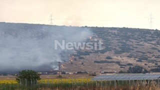 Φωτιά στο Καλαπόδι Φθιώτιδας: Πέρασε «ξυστά» από το χωριό Σφάκα – Μάχη των πυροσβεστών από γη και αέρα