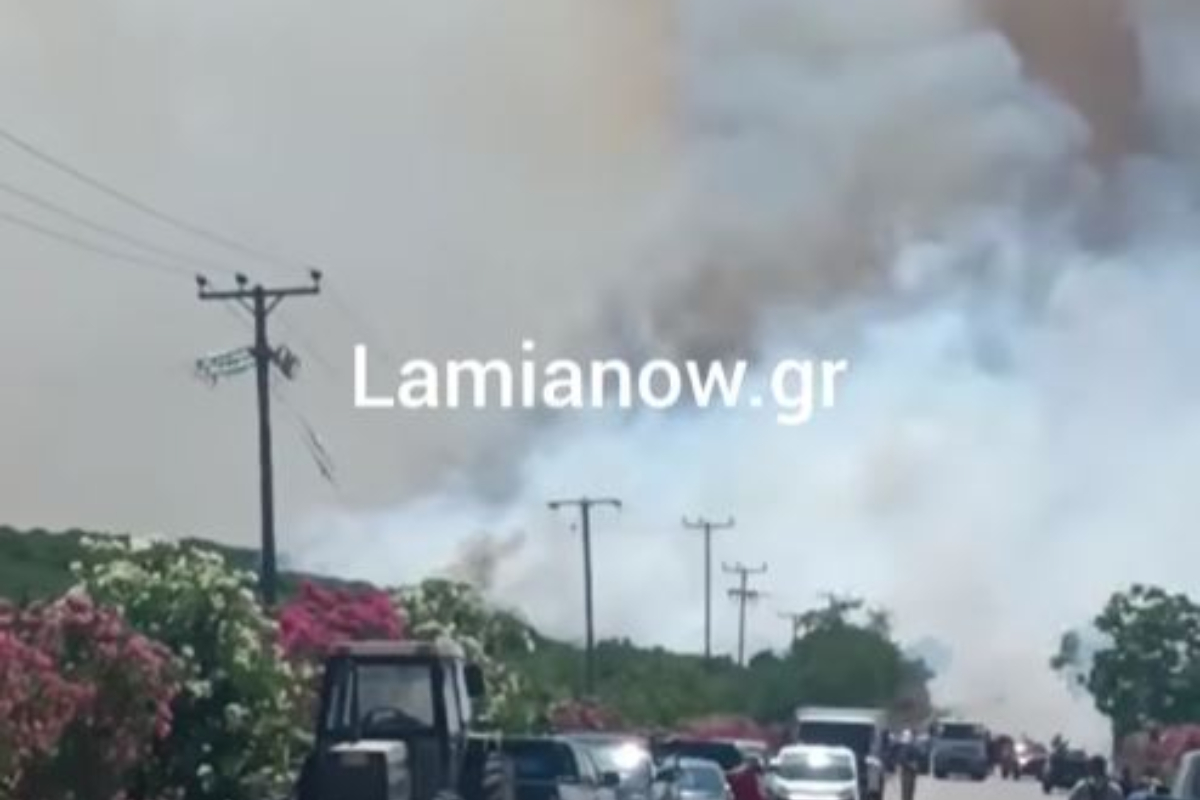Η φωτιά στη Φθιώτιδα