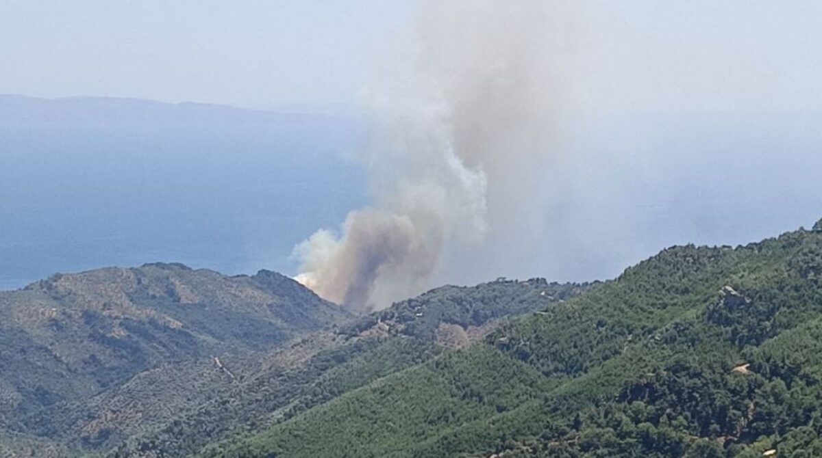Φωτιά στο Πλωμάρι
