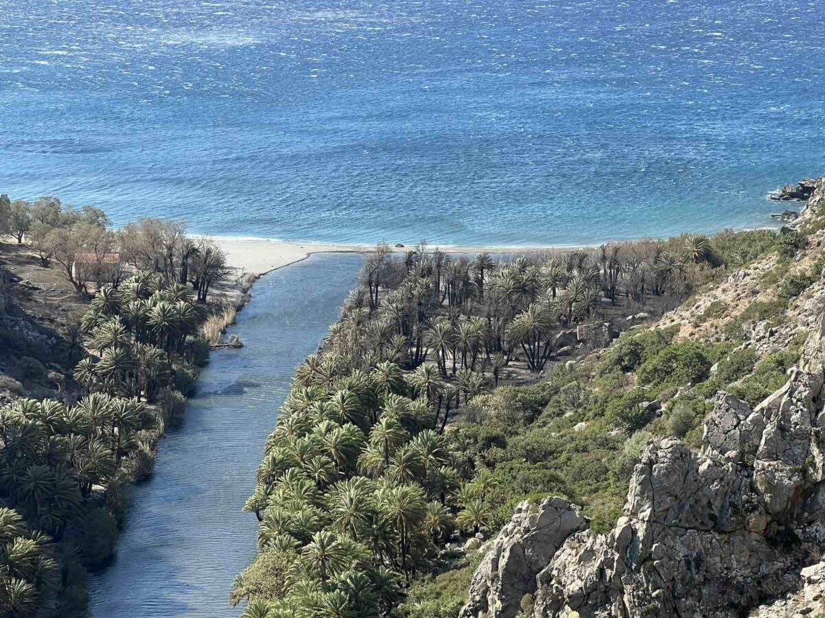 Φοινικόδασος του Πρέβελη