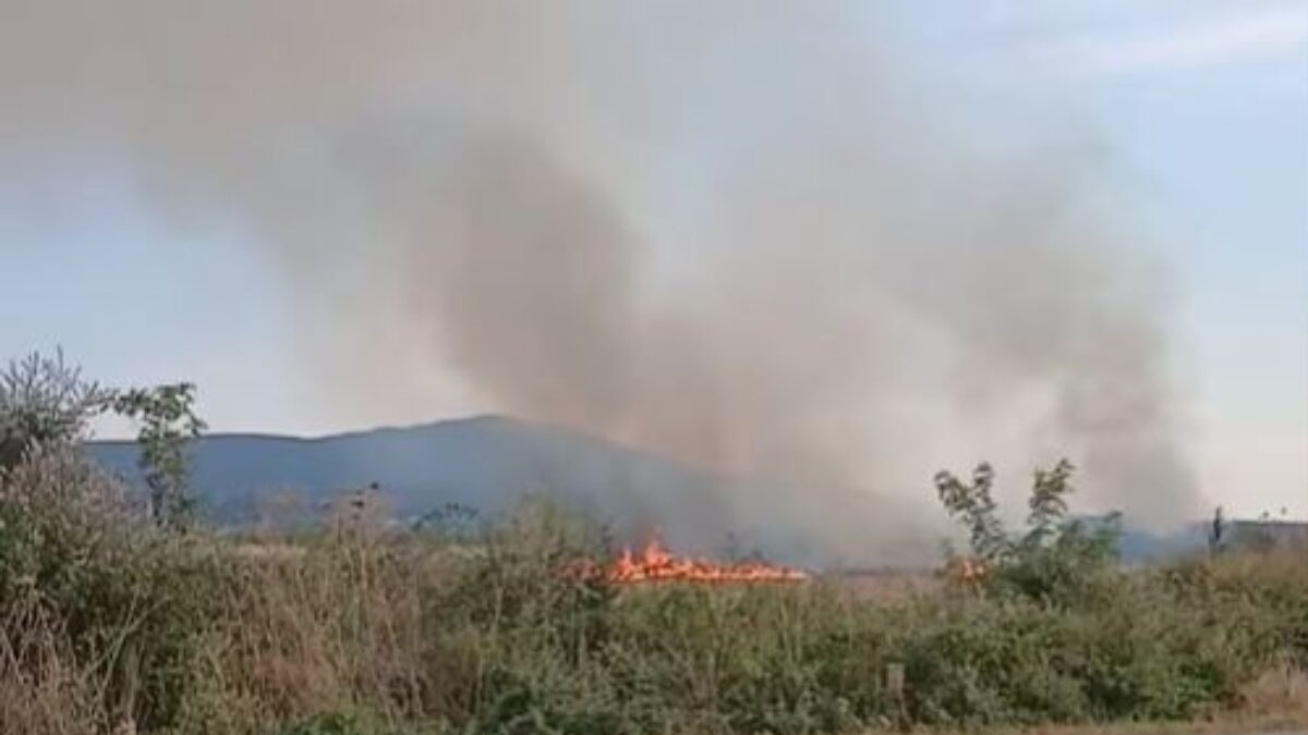 Φωτιά στη Ροδόπη