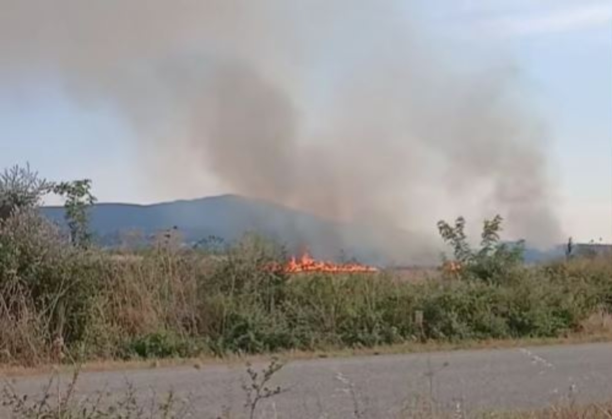 Φωτιά στη Ροδόπη