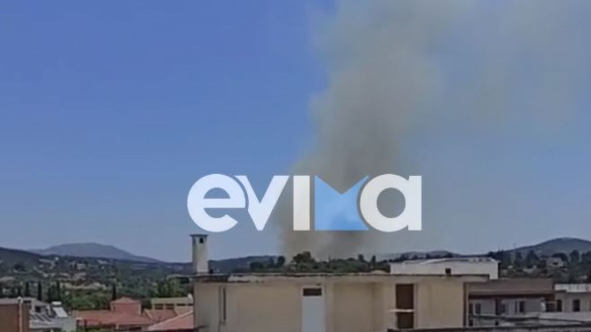 Φωτιά στο Αλιβέρι