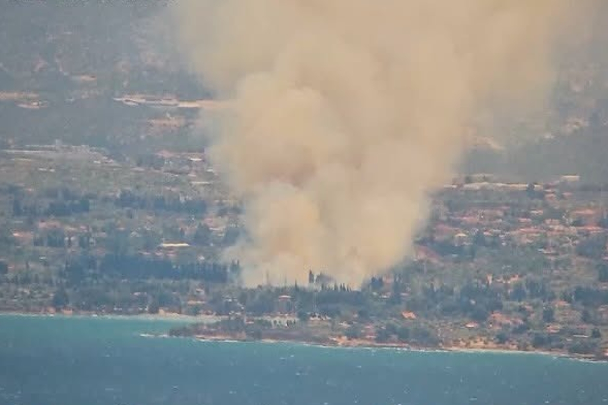 φωτιά χαλκίδα