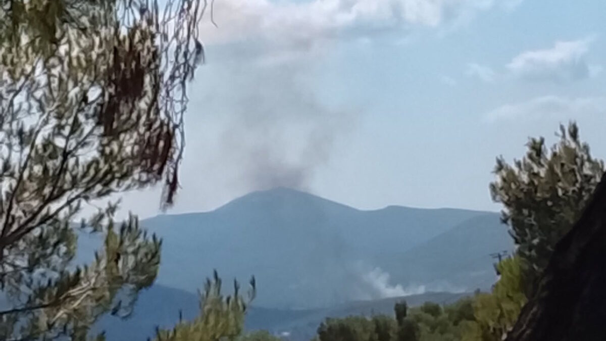 φωτιά οινοή