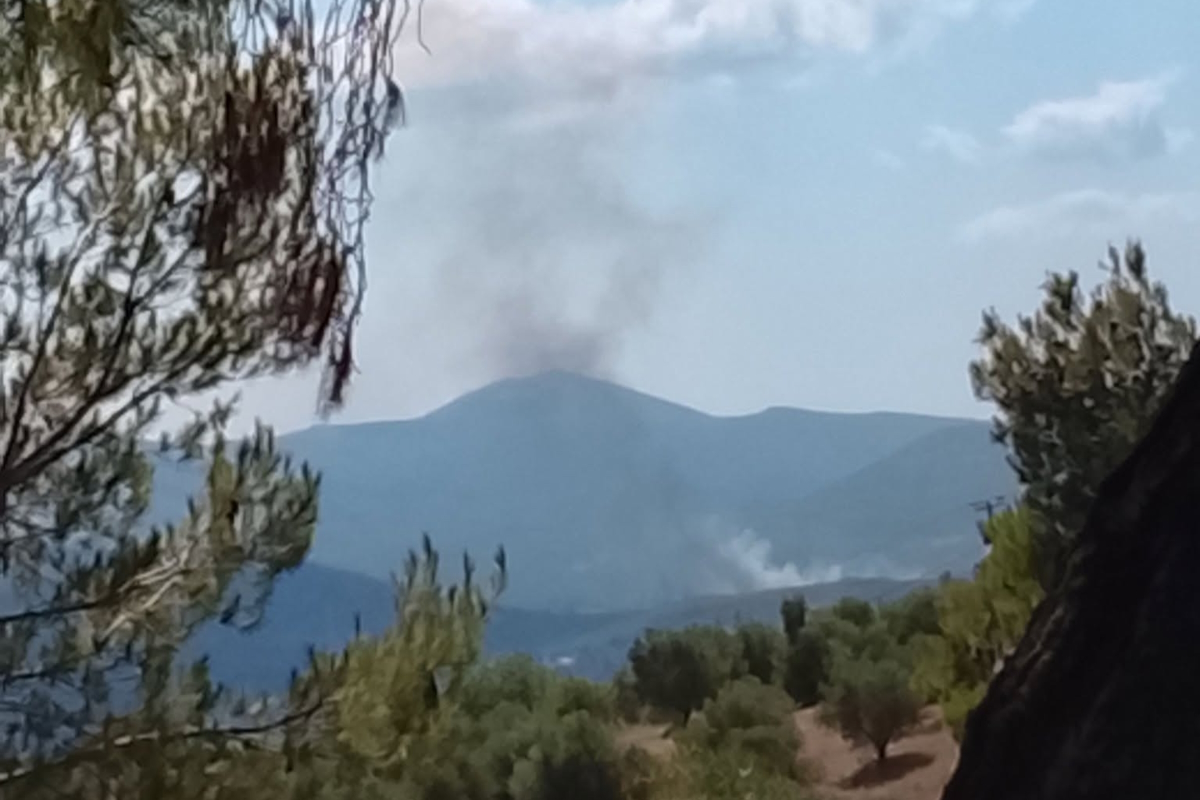 Φωτιά στην Οινόη: Επιχειρούν 2 αεροσκάφη και 1 ελικόπτερο