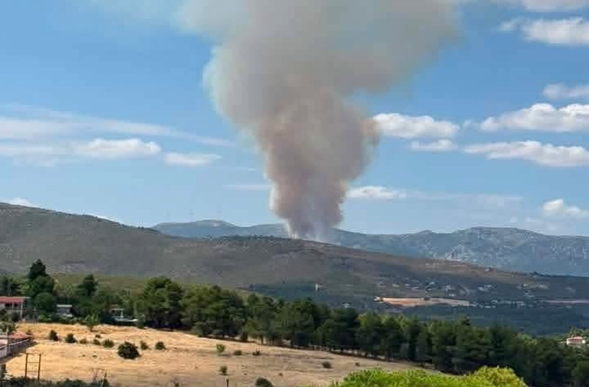 Η φωτιά στην Οινόη