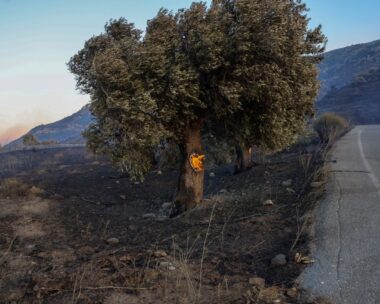Φωτιά στο Ρέθυμνο