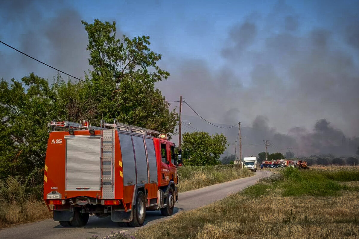 Φωτιά στη Χαλκιδική στην περιοχή Παράδεισος: Επίγειες δυνάμεις στο σημείο