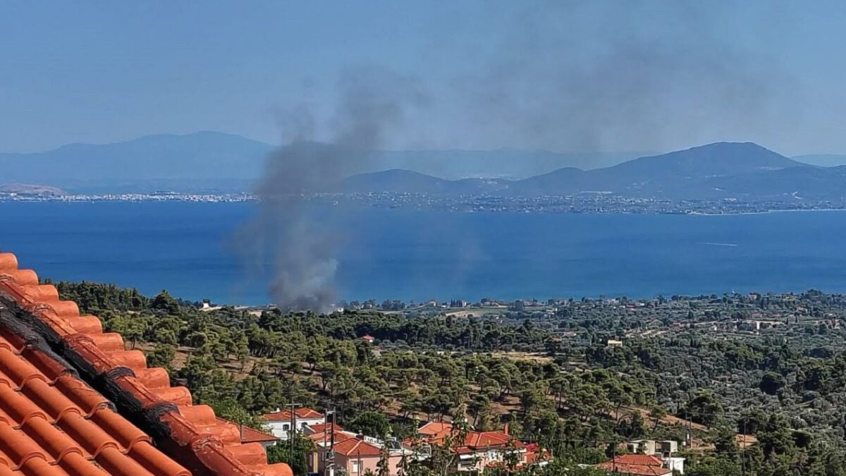 Φωτιά στην Εύβοια