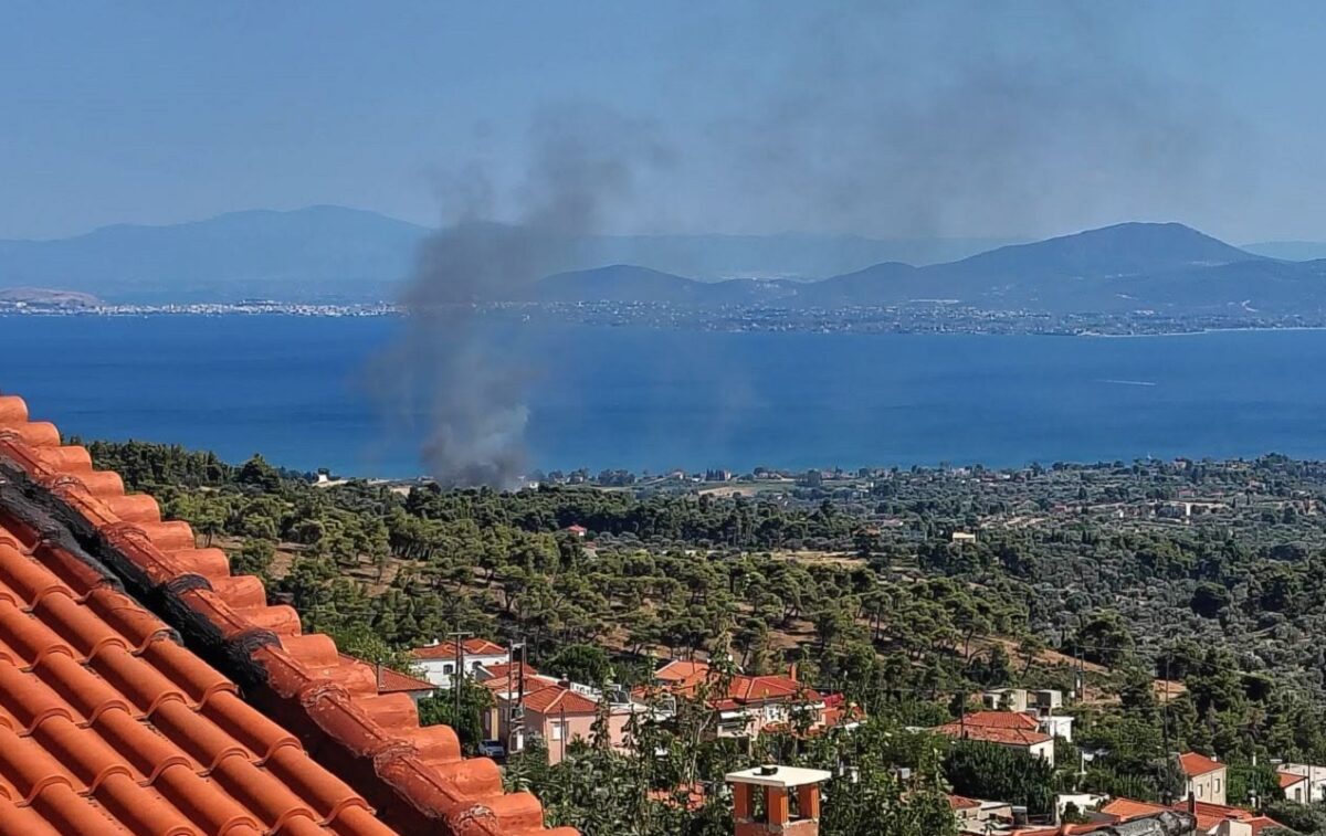 Φωτιά στην Εύβοια