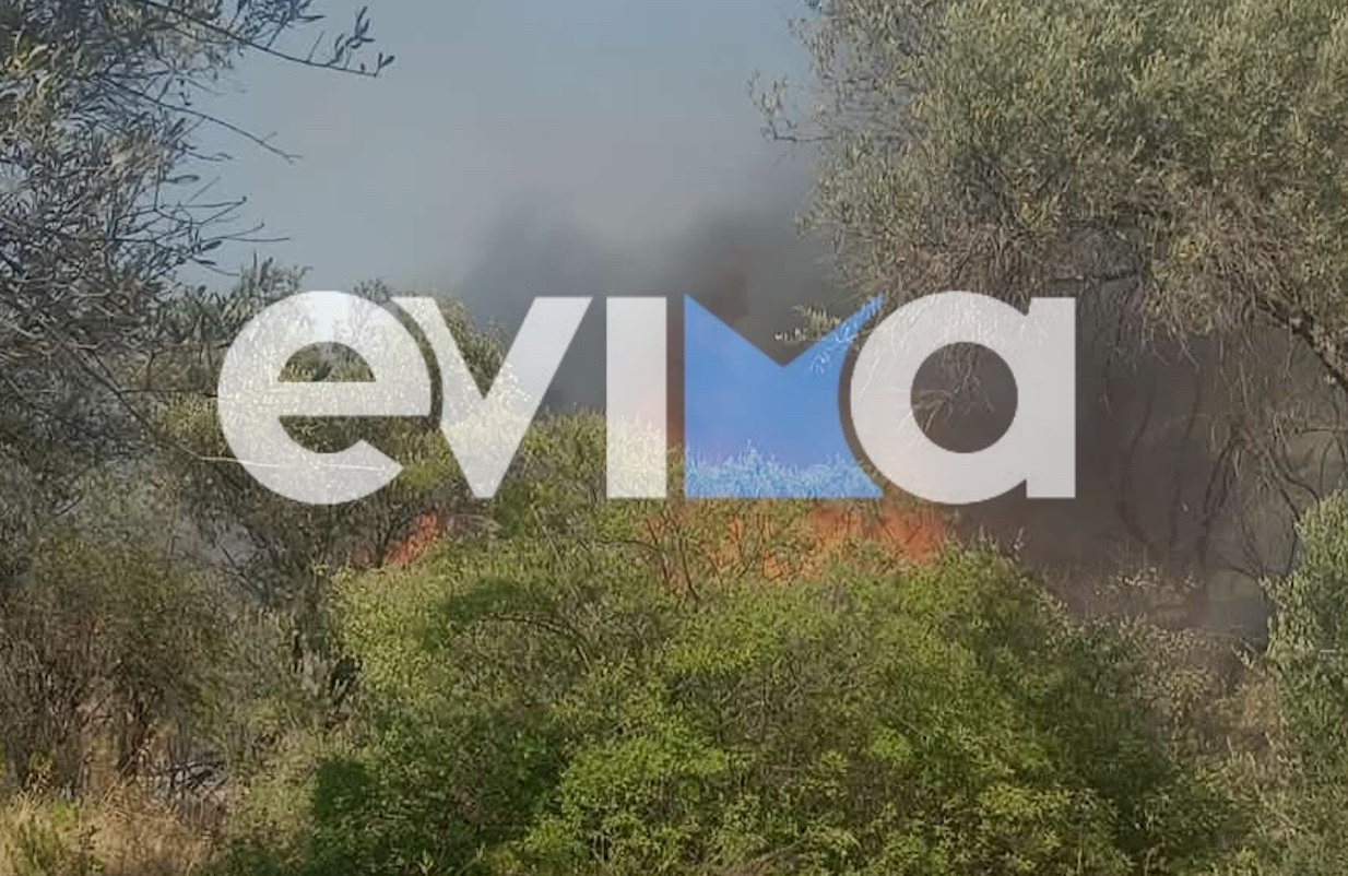 Φωτιά στην Εύβοια